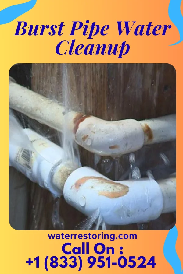 Burst Pipe Water Cleanup in Laureldale, PA