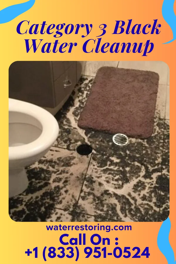 Category 3 Black Water Cleanup in Laureldale, PA