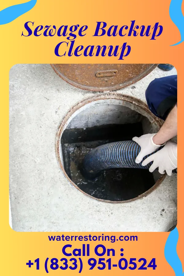 Sewage Backup Cleanup in Laureldale, PA