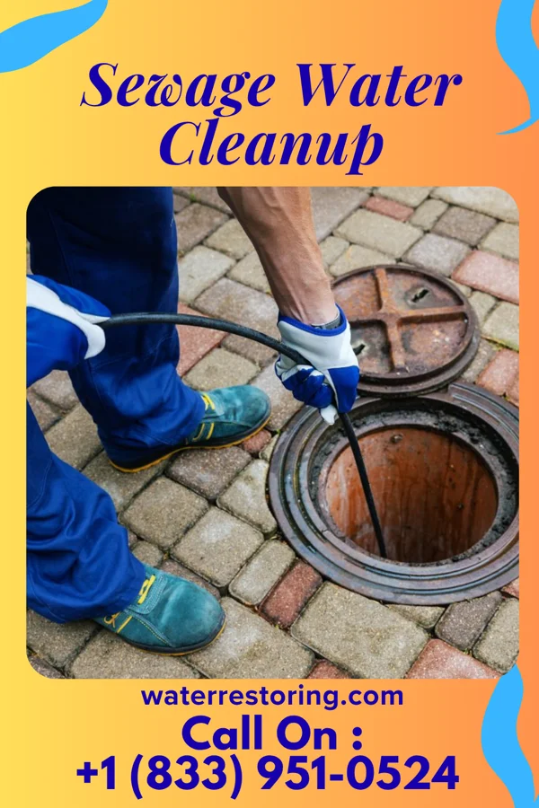 Sewage Water Cleanup in Laureldale, PA